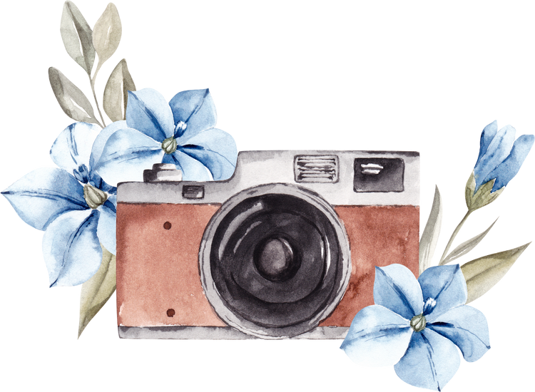Watercolor Camera with Flowers 